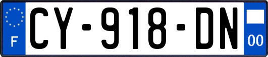 CY-918-DN