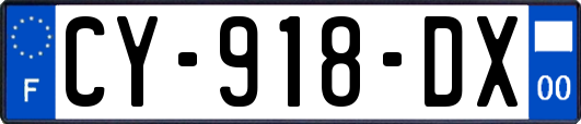 CY-918-DX