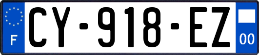 CY-918-EZ