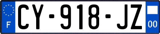 CY-918-JZ