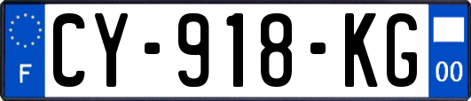 CY-918-KG