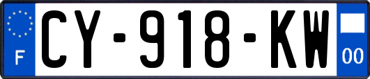 CY-918-KW