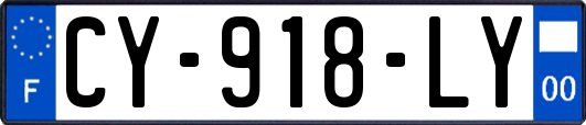 CY-918-LY