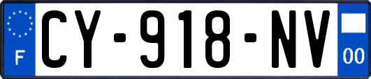 CY-918-NV