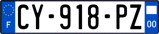 CY-918-PZ