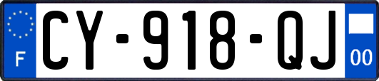 CY-918-QJ