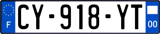 CY-918-YT