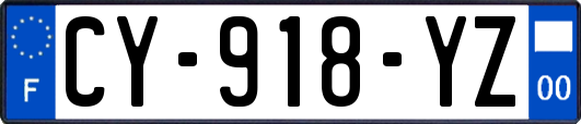 CY-918-YZ