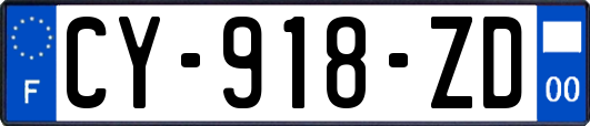 CY-918-ZD