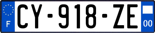 CY-918-ZE