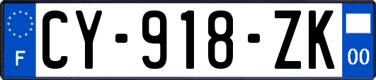 CY-918-ZK