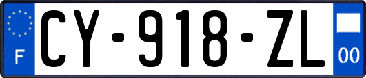 CY-918-ZL