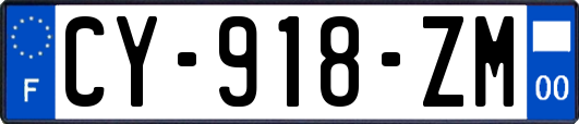 CY-918-ZM
