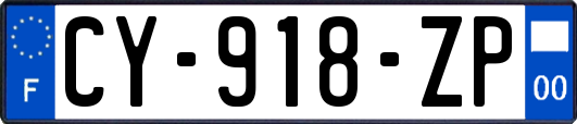 CY-918-ZP