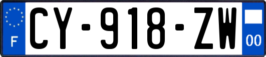CY-918-ZW