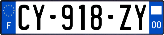 CY-918-ZY