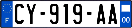 CY-919-AA