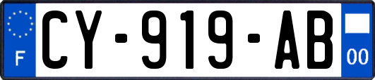 CY-919-AB