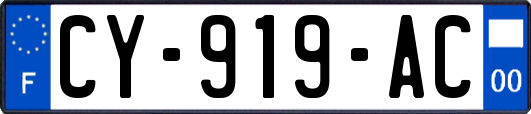 CY-919-AC