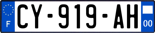 CY-919-AH