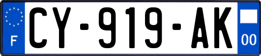 CY-919-AK