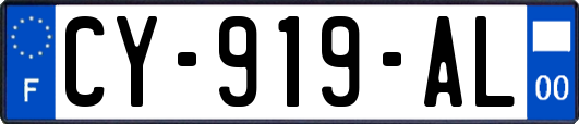 CY-919-AL