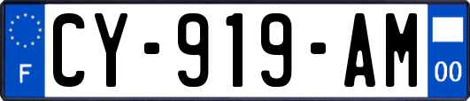 CY-919-AM