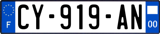 CY-919-AN
