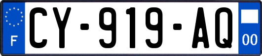 CY-919-AQ