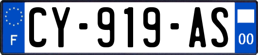 CY-919-AS