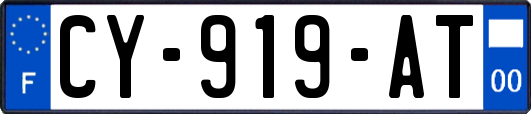 CY-919-AT