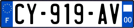 CY-919-AV