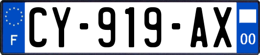 CY-919-AX