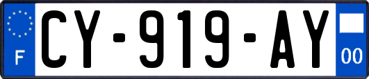 CY-919-AY