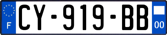 CY-919-BB