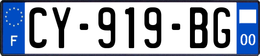 CY-919-BG