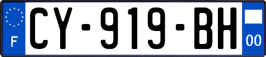 CY-919-BH