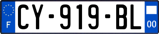 CY-919-BL
