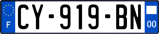 CY-919-BN