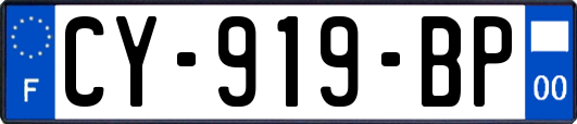 CY-919-BP