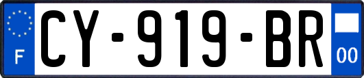 CY-919-BR