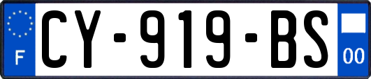 CY-919-BS