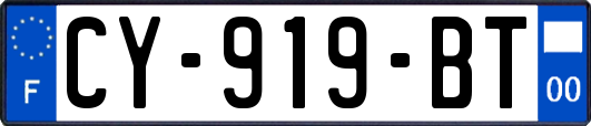 CY-919-BT