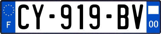 CY-919-BV