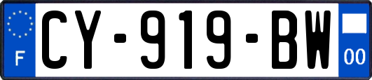 CY-919-BW
