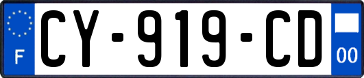 CY-919-CD