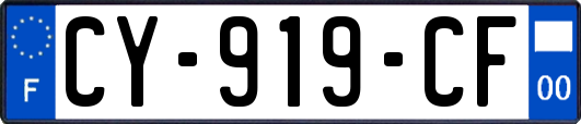 CY-919-CF