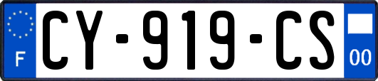 CY-919-CS