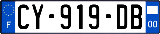 CY-919-DB