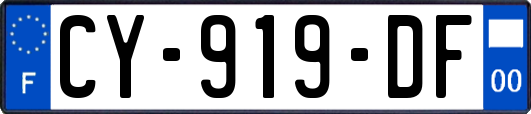 CY-919-DF